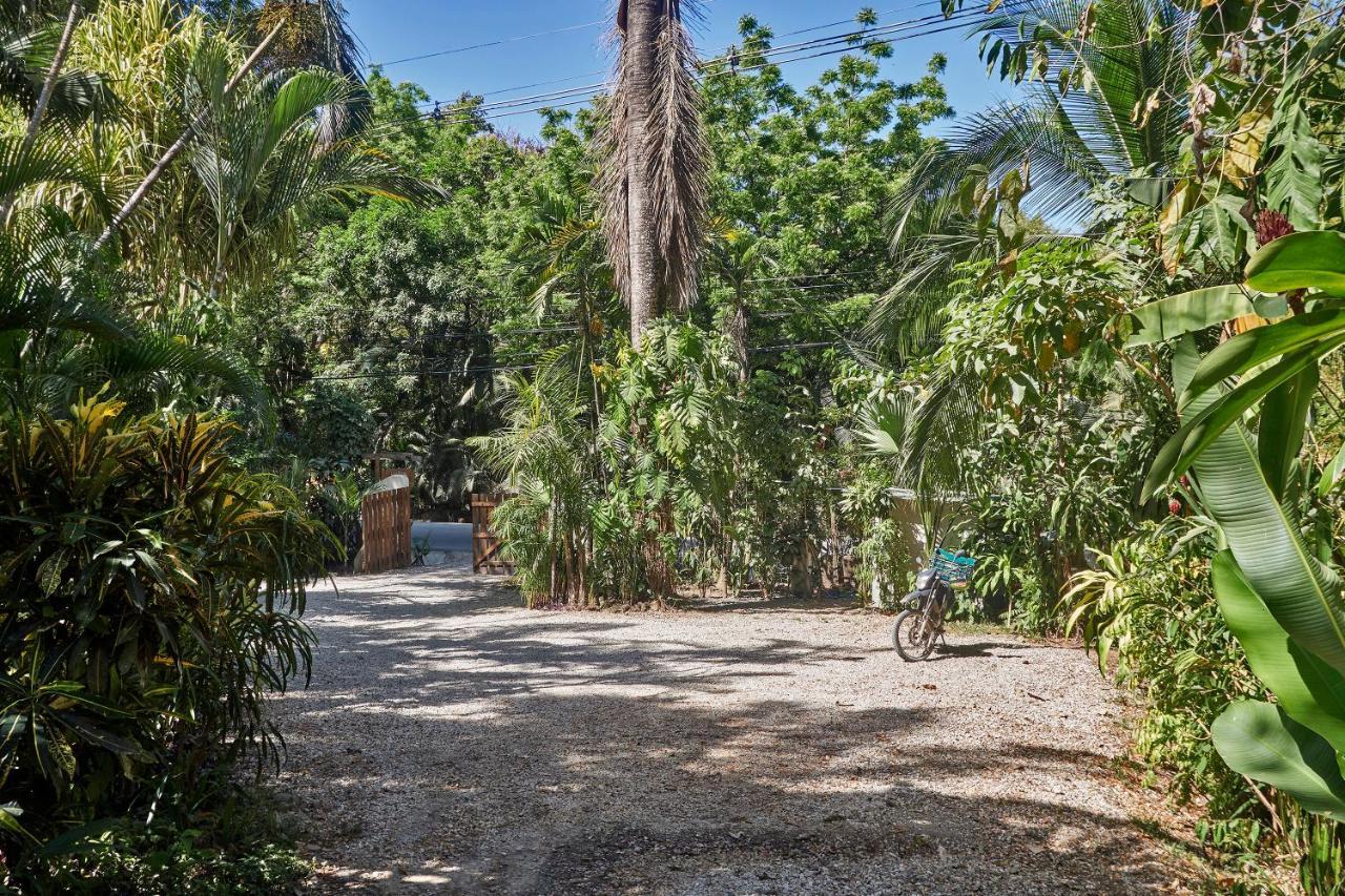 Villa Havana Malpais Dış mekan fotoğraf